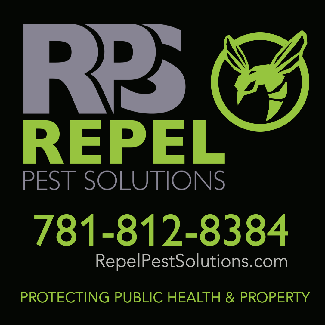 RaceWire Duxbury Education Foundation (DEF) July 4th Road Race SOLD OUT